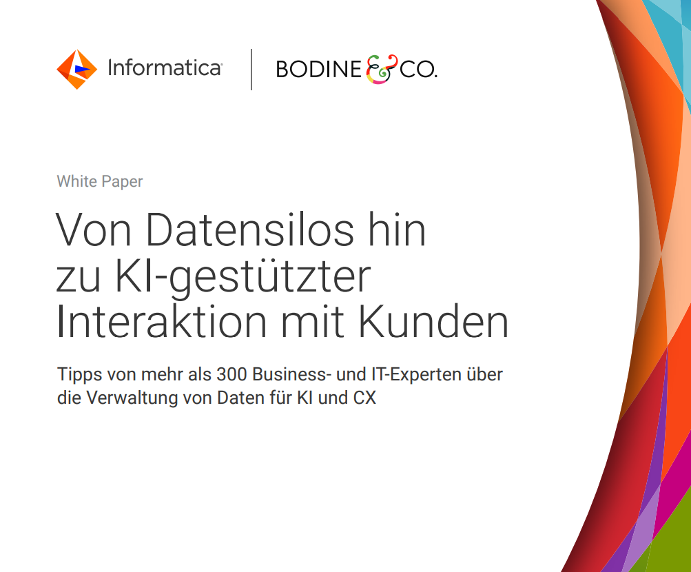 Wie Business- und IT-Experten Daten für KI und CX verwalten